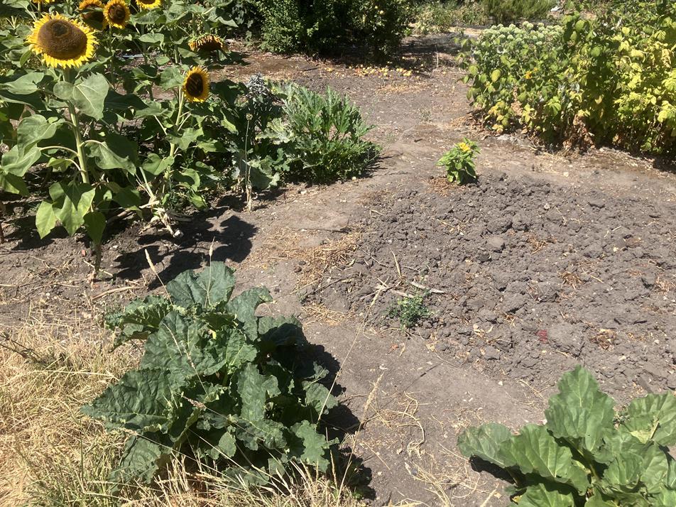 allotment